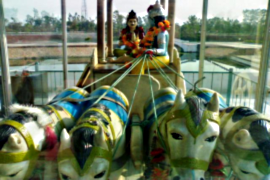 hotels in haryana
